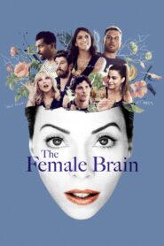 The Female Brain 2017 on netflix