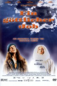 A Goddamn Job 2001 on netflix