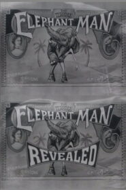 The Terrible Elephant Man Revealed 2001 on netflix