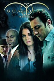 Guardian Angel 2014 on netflix