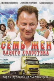 Семь жен одного холостяка 2010 on netflix
