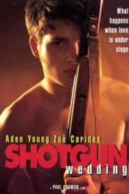 Shotgun Wedding 1994 on netflix