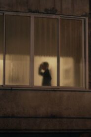 Shadow Puppets 2013 on netflix