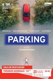 Parking 2019 on netflix