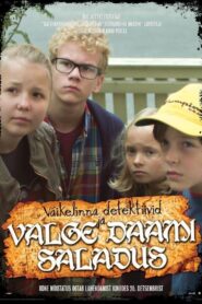 Kid Detectives and the Secret of the White Lady 2013 on netflix