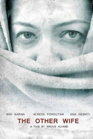 The Other Wife 2007 on netflix
