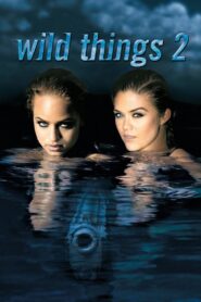 Wild Things 2 2004 on netflix