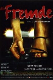 The Stranger 2000 on netflix