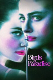 Birds of Paradise 2021 on netflix