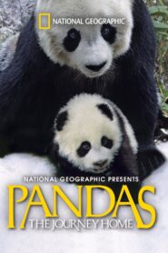 Pandas: The Journey Home 2014 on netflix