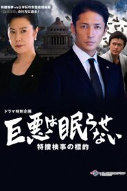 Great evil does not go to sleep: The counterattack of the special investigation unit prosecutor 2016 on netflix