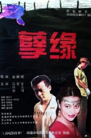 孽缘 1995 on netflix