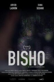 Bisho 2020 on netflix