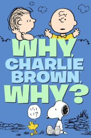 Why, Charlie Brown, Why? 1990 on netflix