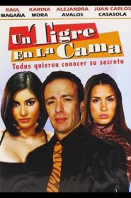 Un tigre en la cama 2009 on netflix
