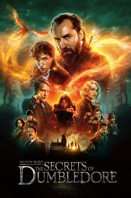 Fantastic Beasts: The Secrets of Dumbledore 2022 on netflix