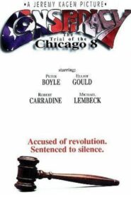 Conspiracy: The Trial of the Chicago 8 1987 on netflix