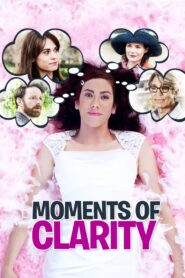 Moments of Clarity 2016 on netflix