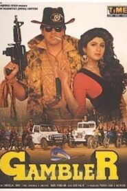 Gambler 1995 on netflix