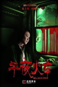 Mid-Night Train 2013 on netflix