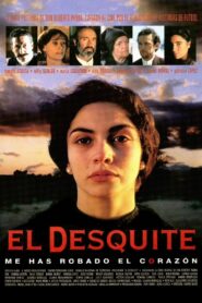 Revenge 1999 on netflix