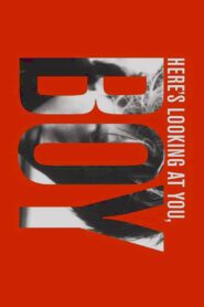 Here’s Looking at You, Boy 2007 on netflix
