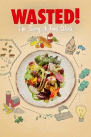 Wasted! The Story of Food Waste 2017 on netflix