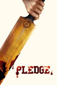 Pledge 2019 on netflix