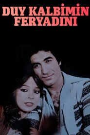 Duy Kalbimin Feryadını 1980 on netflix