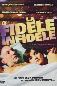 La fidèle infidèle 1995 on netflix