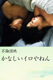 Affair Complex Sad Iro Yanen 2005 on netflix