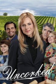 Uncorked 2009 on netflix