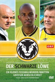 Der schwarze Löwe 2008 on netflix