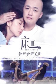 A Bed Affair 2017 on netflix