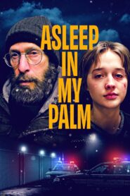 Asleep in My Palm 2024 on netflix