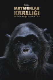 Maymunlar Krallığı Savaş Hattı 2021 on netflix