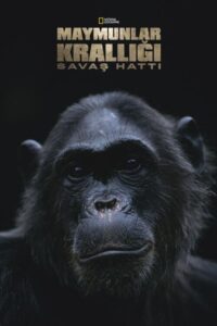 Maymunlar Krallığı Savaş Hattı 2021 on netflix