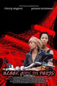 Black Girl in Paris 2013 on netflix