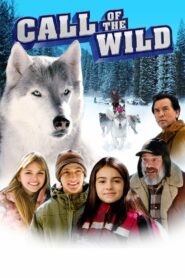 Call of the Wild 2009 on netflix