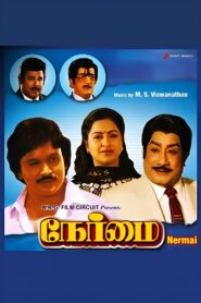 Nermai 1985 on netflix