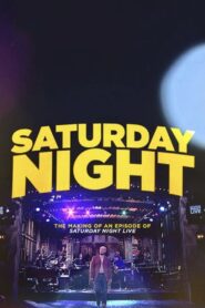 Saturday Night 2010 on netflix