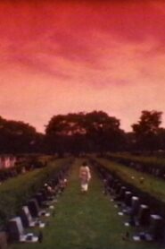 100 years after 1994 on netflix