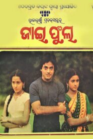 Jai Phula 1984 on netflix