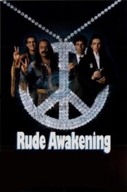 Rude Awakening 1989 on netflix
