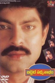 Budget Padmanabham 2001 on netflix