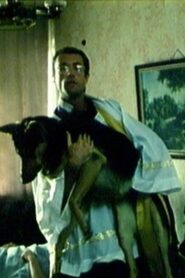 Pańcia 1996 on netflix
