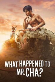 What Happened to Mr. Cha? 2021 on netflix