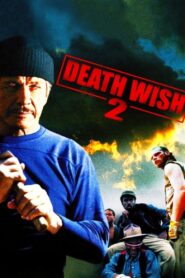 Death Wish II 1982 on netflix