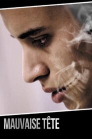 Heady Stuff 2014 on netflix
