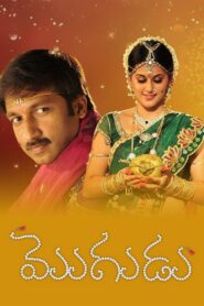 Mogudu 2011 on netflix